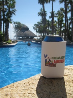 Poolside Poolside at Melia Cabo Real, Los Cabos